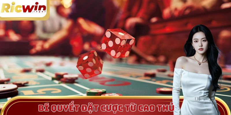 Bí quyết đặt cược của cao thủ