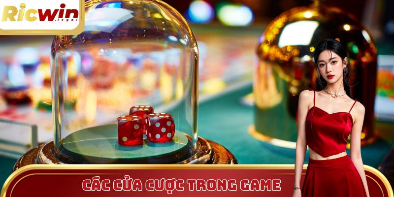Các cửa cược trong game Sicbo