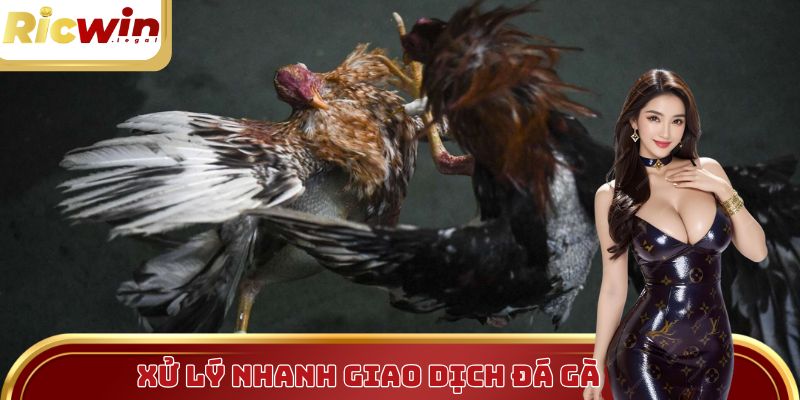 Nhà cái hỗ trợ giao dịch nhanh chỉ trong 3 phút